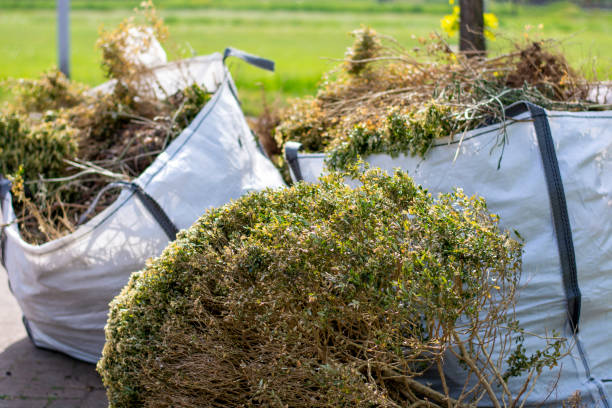 Best Same-Day Junk Removal  in , LA
